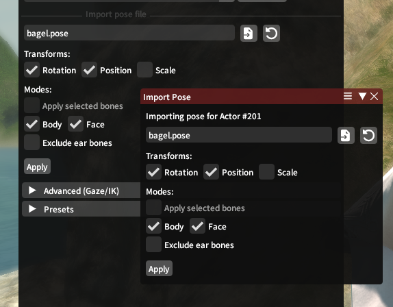Import Options